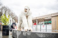 Snowflake, de Albino Gorilla