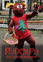 Rudolf – the Red-nosed Reindeer